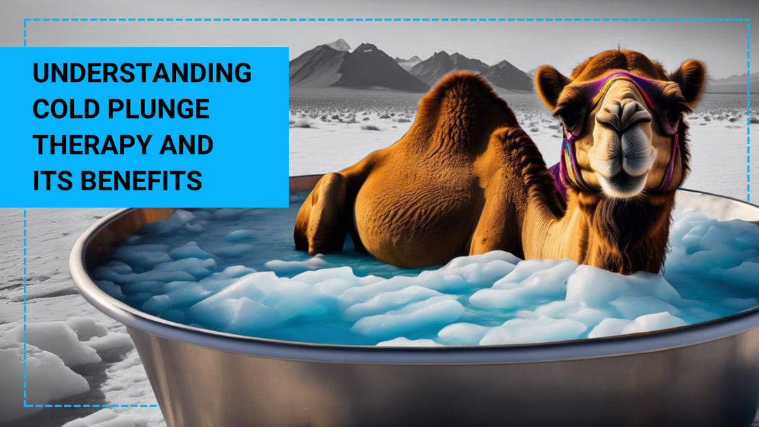 camel in ice bath to portray the arctic camel cold plunge in Qatar